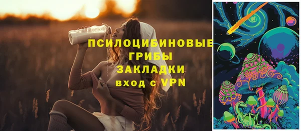 прущие крисы Заводоуковск