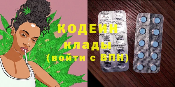 прущие крисы Заводоуковск