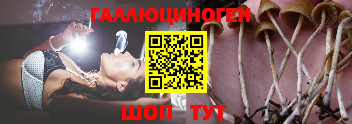 Псилоцибиновые грибы мицелий  Канаш 