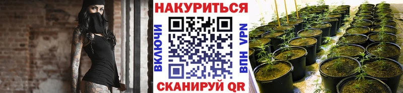 дарк нет какой сайт  blacksprut зеркало  Канаш  Канабис сатива 